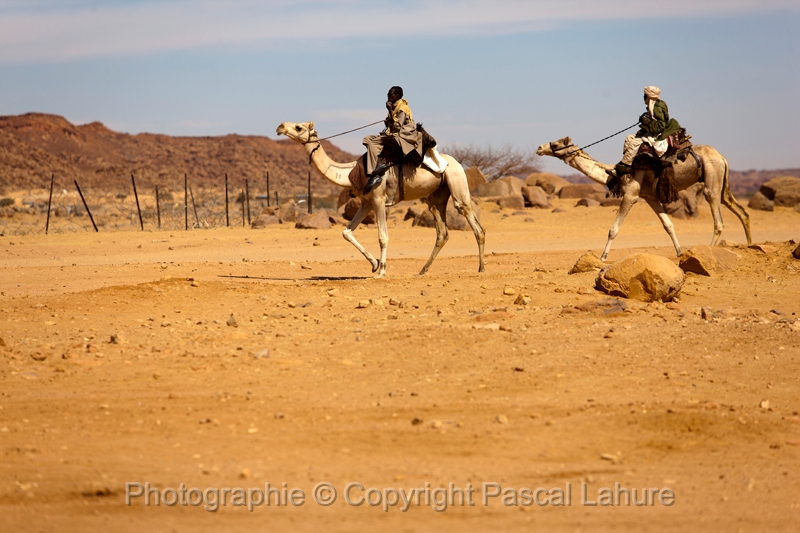 _42I4958_FICSA 2016_Pascal_Lahure.JPG